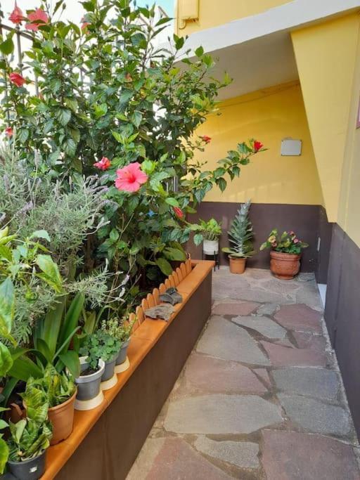 El Rincon De Nina San Cristóbal de La Laguna Exterior foto